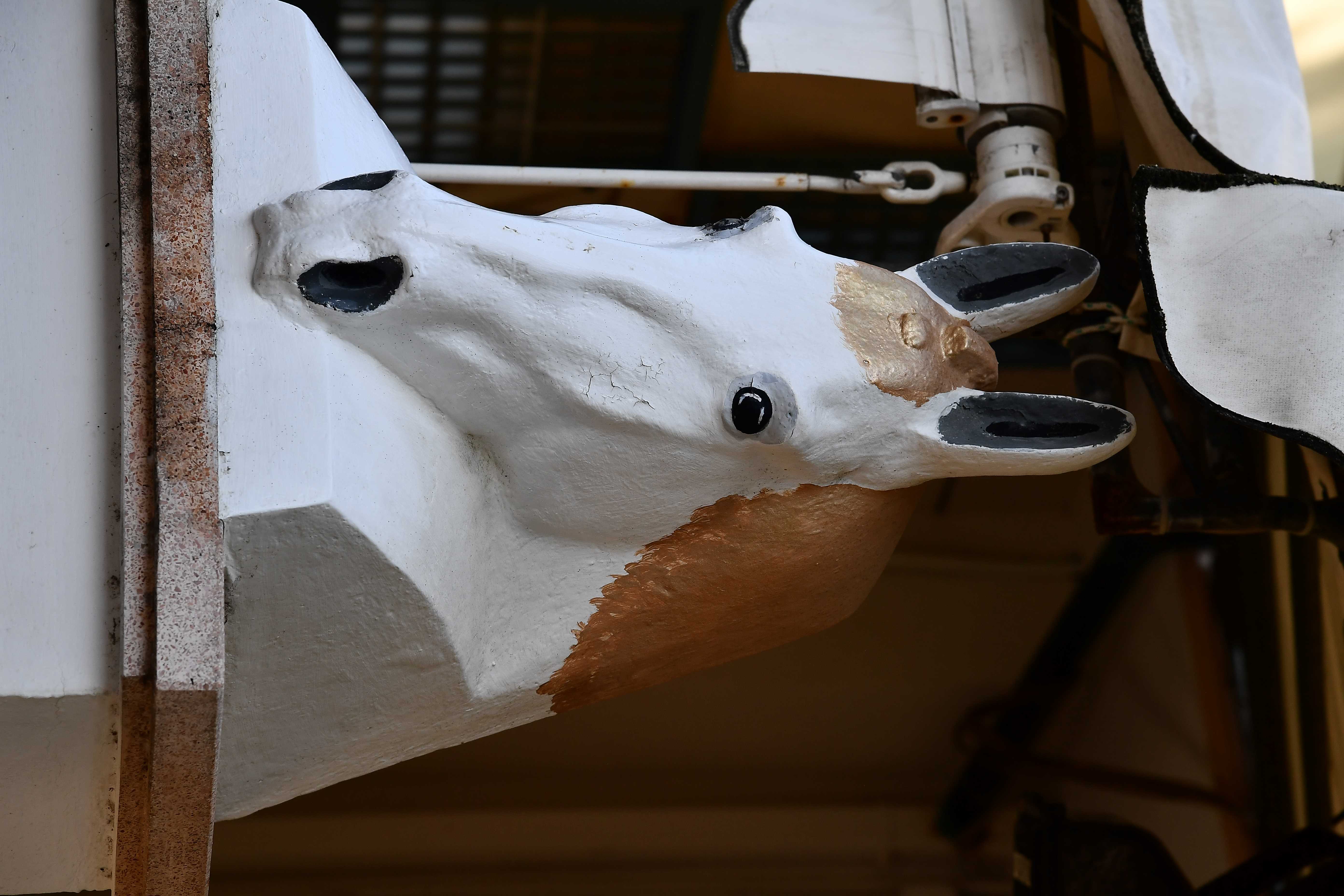 Scultura a forma di testa di cavallo all'ingresso dell'Hotel Criniera d'Oro